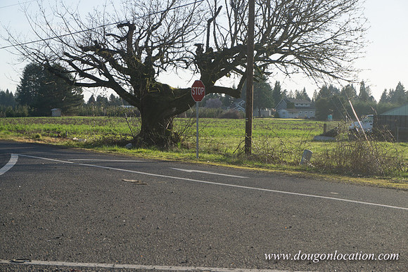 Kelso Rd W Driving E-3982