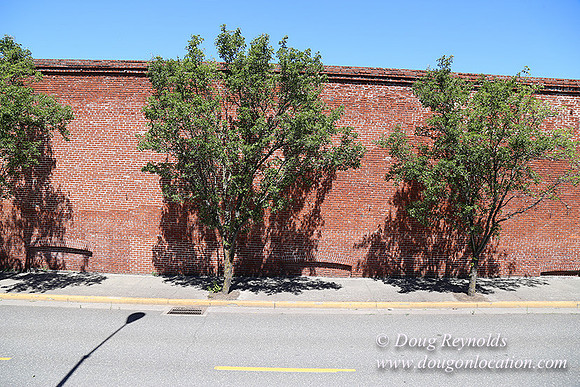 2nd St Hood River-7911