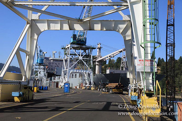 Ship Yard-0585