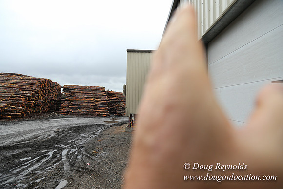 Saw Mill and Lumber Yard