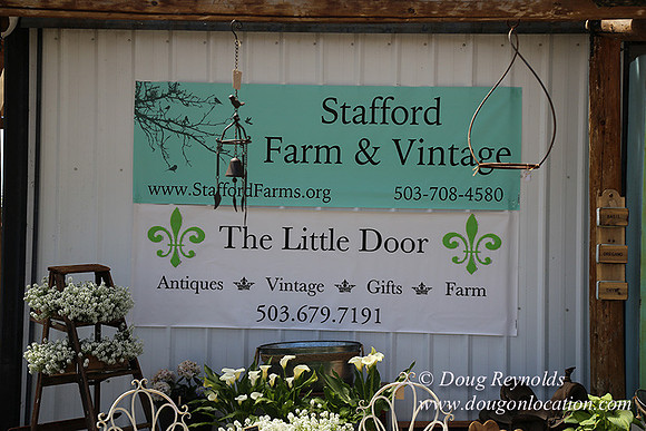 Little Door Farm Market-5391