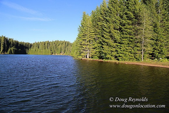 Timathy Lake-3729