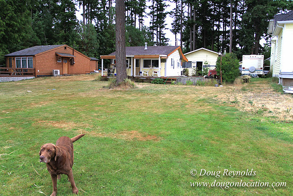 Cabin, Curtis, Dock, Green, Home, Lake, Small, WA, Washington, Yard, Yard, deck