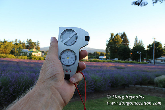 Bob's Lavender-8710
