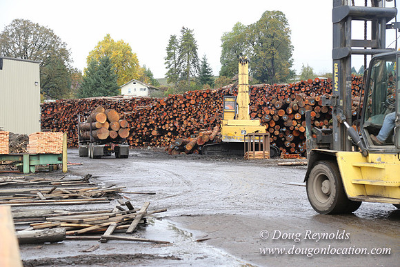 Saw Mill and Lumber Yard