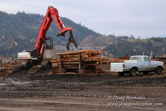 SDS Lumber-1298