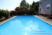"2 Barns", "2 car garage", "40+ Acres", "PDX Zone", Pool, "White Fence", cows, "farm House", "rap around dive", "well maintained"