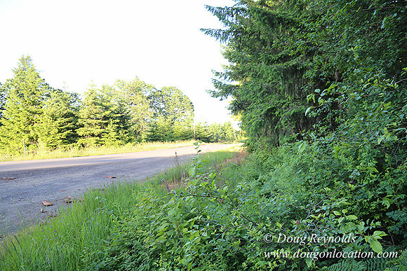 Oak Ridge Rd 2-7142