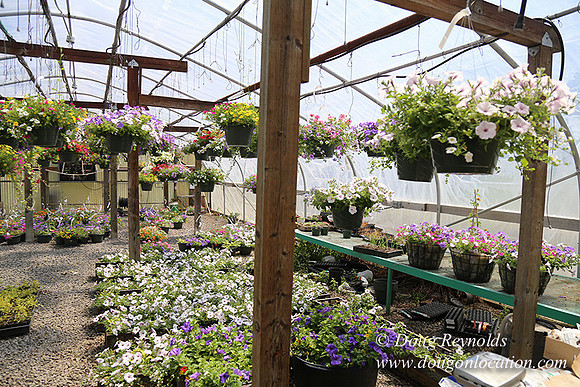 lee Farms-5295
