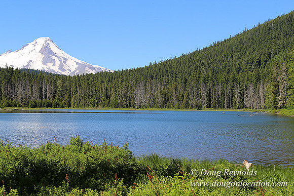 Frog Lake-3429
