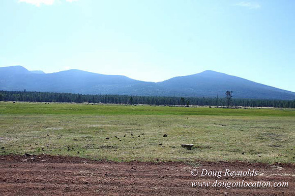 Ranch 18 South side of Hwy  has 2500 Acres of green fields Creeks water crossing Bridges on a Large Lake and miles of Dirt roads Oak trees  Forest land ATV Trails cows