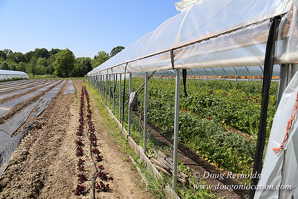 Vahan's Farm & Market-5204