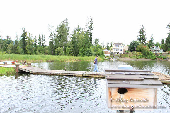 Cabin, Curtis, Dock, Green, Home, Lake, Small, WA, Washington, Yard, Yard, deck