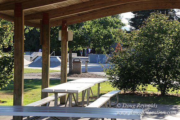 Lincoln Park-0572