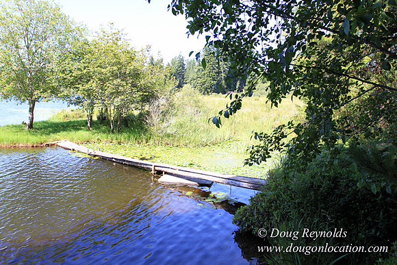 Richter Lake House-8344