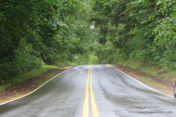 Brower Rd