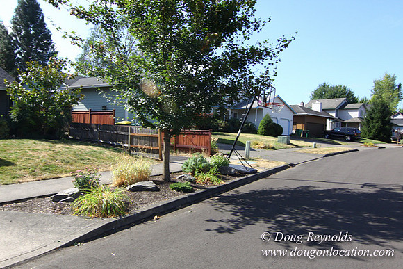 70's/80's Suburban Home Traditional with 2 car garage 2 story on Small lot