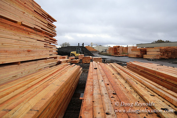Saw Mill and Lumber Yard