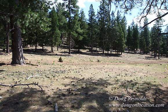 Ranch 18 South side of Hwy  has 2500 Acres of green fields Creeks water crossing Bridges on a Large Lake and miles of Dirt roads Oak trees  Forest land ATV Trails cows