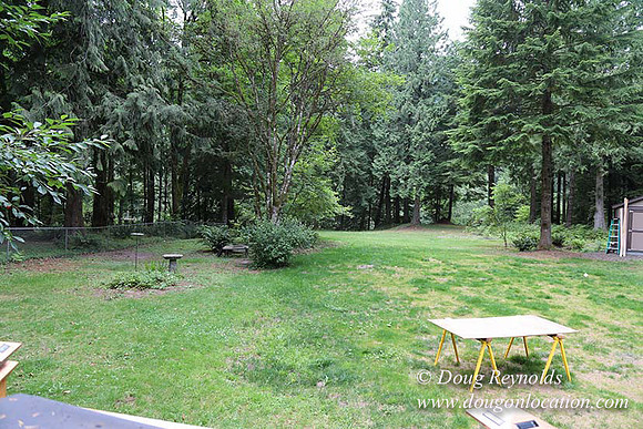 Cabin;  Home;  House; OR, Oregon Yard; deck; green. River,