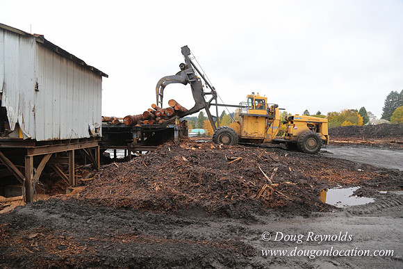 Saw Mill and Lumber Yard