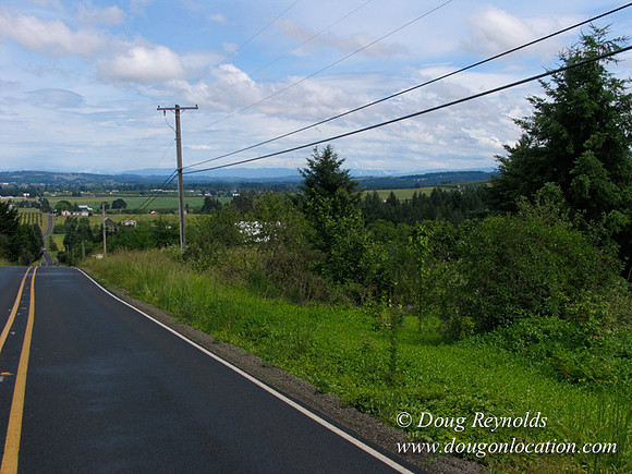 Laurel Hill Road 4851