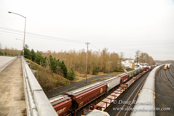 Marine Dr Overpass-5273