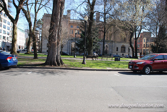 North Park Blocks-0026