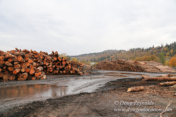 SDS Lumber-1364