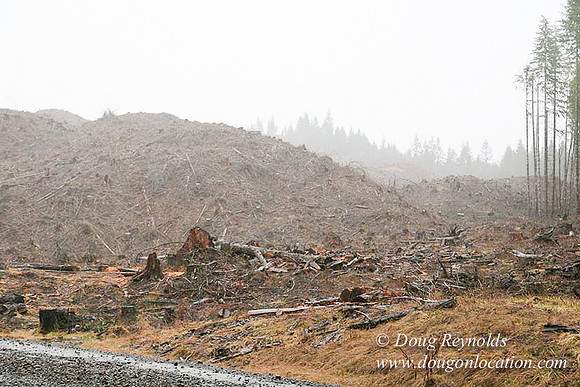 WC Clear Cut 2010-7871