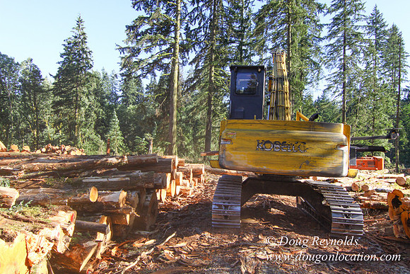 Craig Logging-3167