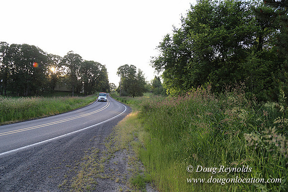 Mountaindale Rd-6413