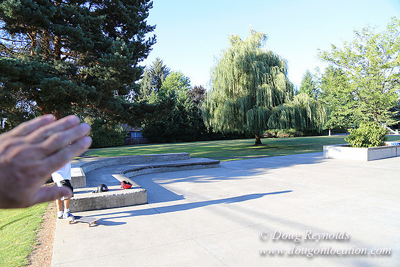 Lincoln Park-0615