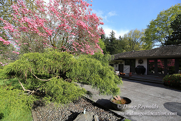 Mid Century Traditional Style Home, With a Basement, 2 car garage average sized Back Yard with Patio