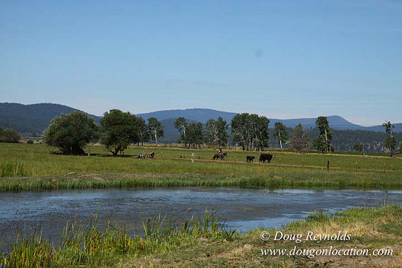 2500 Acres of green fields Creeks water crossing Bridges on a Large Lake and miles of Dirt roads Oak trees Forest land ATV Trails cows