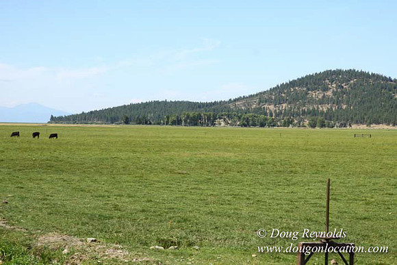 Ranch 18 South side of Hwy  has 2500 Acres of green fields Creeks water crossing Bridges on a Large Lake and miles of Dirt roads Oak trees  Forest land ATV Trails cows