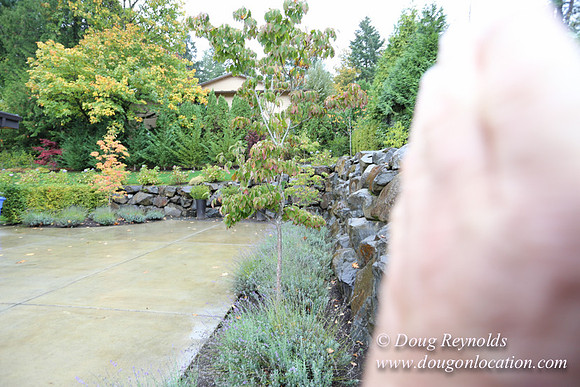Kathy's House-0440