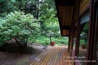 Gary's Cabin-7544