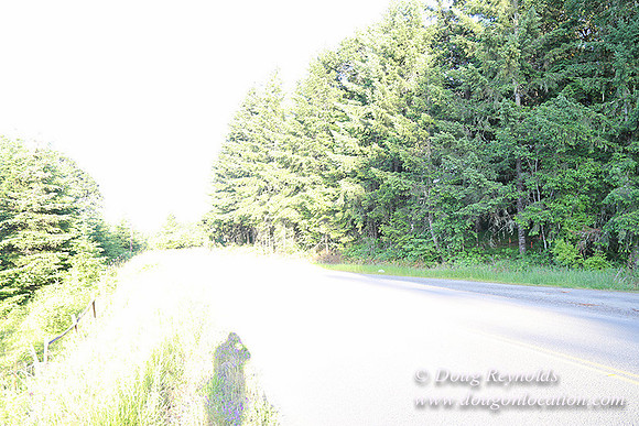 Oak Ridge Rd 2-7147