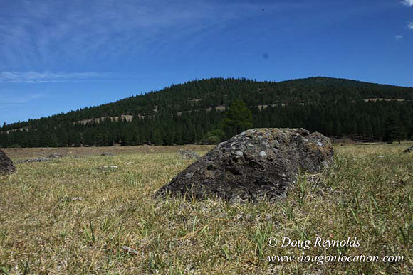 Ranch 18 South side of Hwy  has 2500 Acres of green fields Creeks water crossing Bridges on a Large Lake and miles of Dirt roads Oak trees  Forest land ATV Trails cows