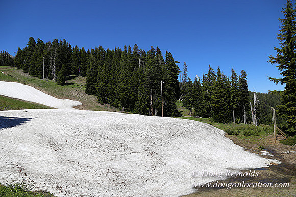 Medow's Snow-5774