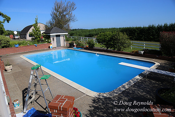 "2 Barns", "2 car garage", "40+ Acres", "PDX Zone", Pool, "White Fence", cows, "farm House", "rap around dive", "well maintained"