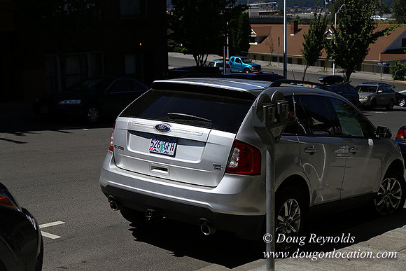 1st & Oak HdRv-8038