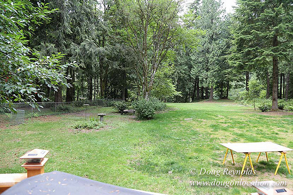 Cabin;  Home;  House; OR, Oregon Yard; deck; green. River,