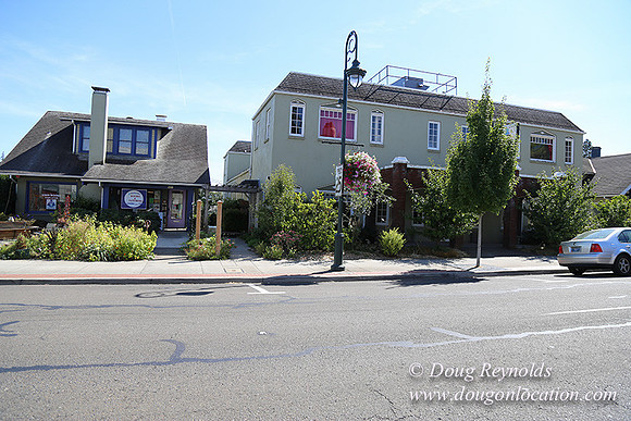 Forest Grove-0534