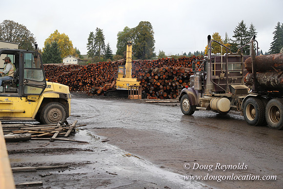 Saw Mill and Lumber Yard