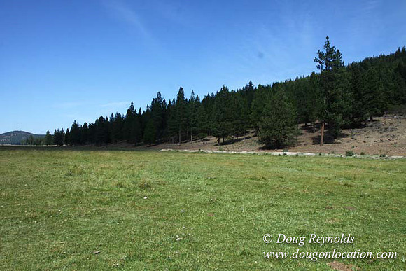 Ranch 18 South side of Hwy  has 2500 Acres of green fields Creeks water crossing Bridges on a Large Lake and miles of Dirt roads Oak trees  Forest land ATV Trails cows
