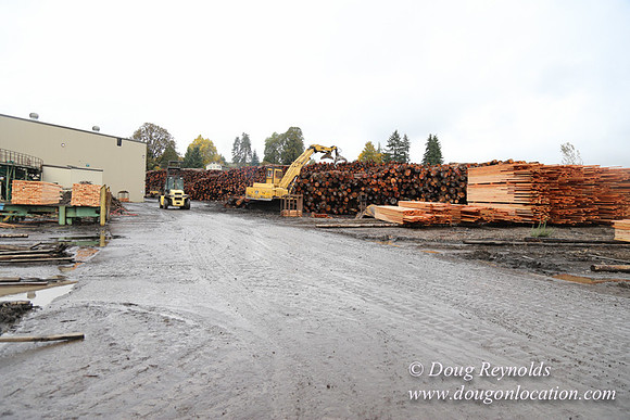Saw Mill and Lumber Yard