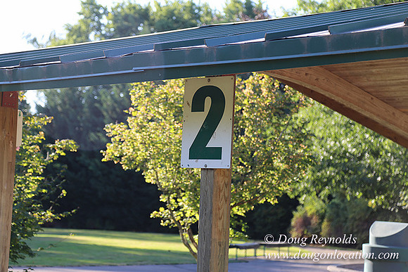 Lincoln Park-0562