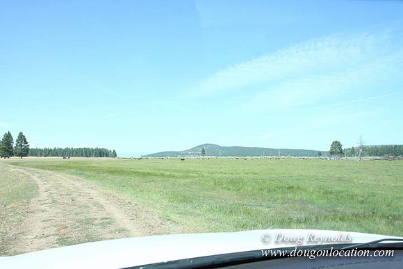 Ranch 18 South side of Hwy  has 2500 Acres of green fields Creeks water crossing Bridges on a Large Lake and miles of Dirt roads Oak trees  Forest land ATV Trails cows
